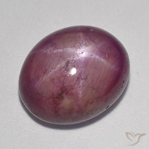 rubi estrela roxo médio Natural 13.63ct, oval, Opaco