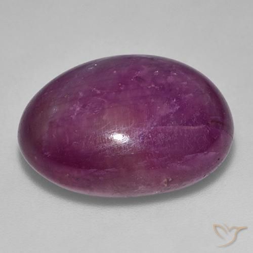 rubi estrela Roxo profundo Natural 25.25ct, oval, Opaco