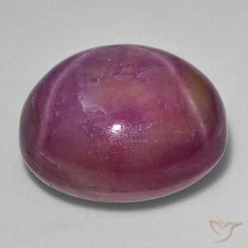 rubi estrela roxo avermelhado Natural 36.03ct, oval, Opaco