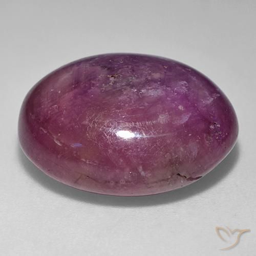 rubi estrela Roxo médio-escuro Natural 24.29ct, oval, Opaco