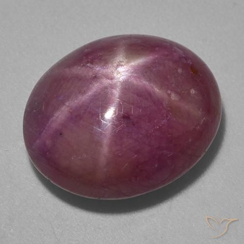 13.87ct Natural Roxo médio-escuro rubi estrela, oval, Opaco