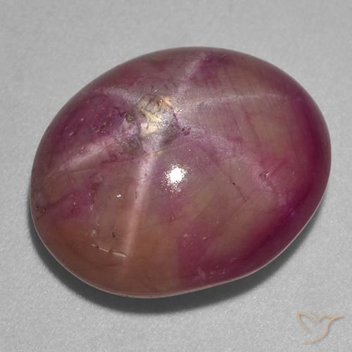 13.67ct Natural ameixa roxa rubi estrela, oval, Opaco
