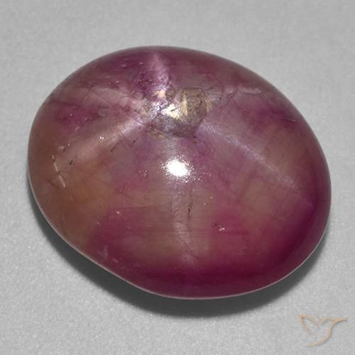 rubi estrela ameixa roxa Natural 13.67ct, oval, Opaco