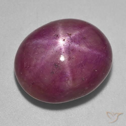 14.31ct Natural Roxo avermelhado médio-escuro rubi estrela, oval, Opaco