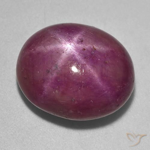 rubi estrela Roxo avermelhado médio-escuro Natural 14.31ct, oval, Opaco