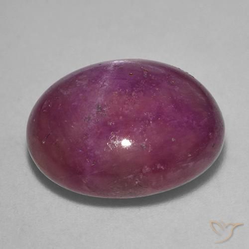 rubi estrela Roxo avermelhado médio-escuro Natural 14.31ct, oval, Opaco