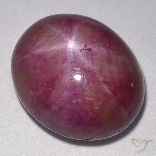 rubi estrela roxo avermelhado Natural 24.55ct, oval, Opaco