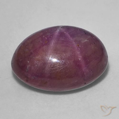 rubi estrela Roxo médio-escuro Natural 18.38ct, oval, Opaco