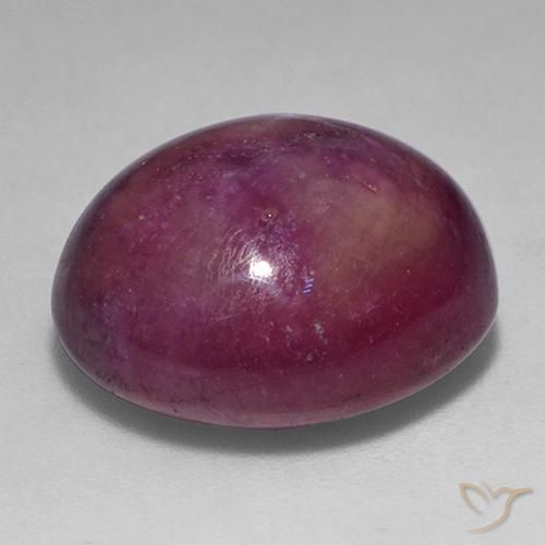Rubi estrela roxo médio-escuro natural 19,78ct, corte oval, opaco