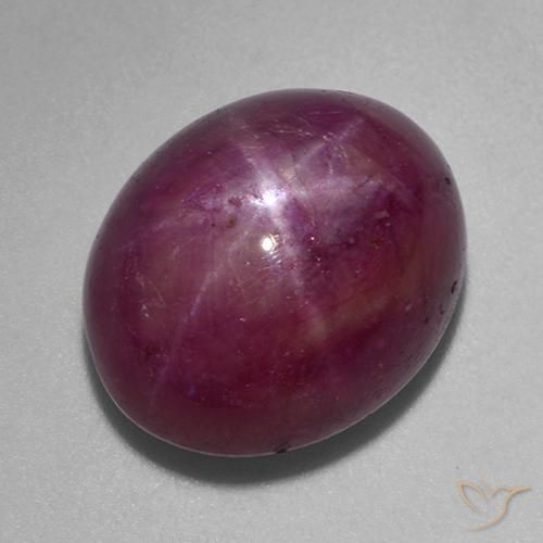 rubi estrela Roxo rosado Natural 15.62ct, oval, Opaco