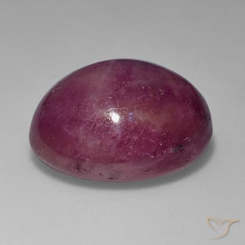 rubi estrela Roxo rosado Natural 15.62ct, oval, Opaco