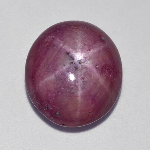 Rubi estrela roxo natural 10,05ct, corte oval, opaco