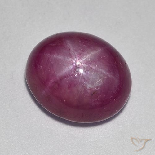 9.44ct Natural roxo avermelhado rubi estrela, oval, Opaco