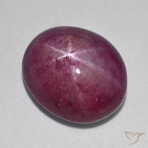 rubi estrela ameixa roxa Natural 12.54ct, oval, Opaco