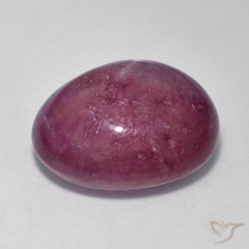 rubi estrela ameixa roxa Natural 12.54ct, oval, Opaco