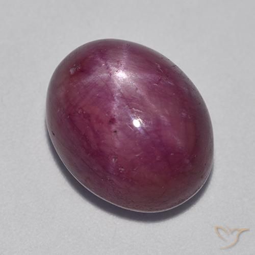 rubi estrela Roxo médio-escuro Natural 11.42ct, oval, Opaco