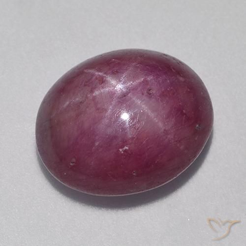9.37ct Natural Roxo médio-escuro rubi estrela, oval, Opaco
