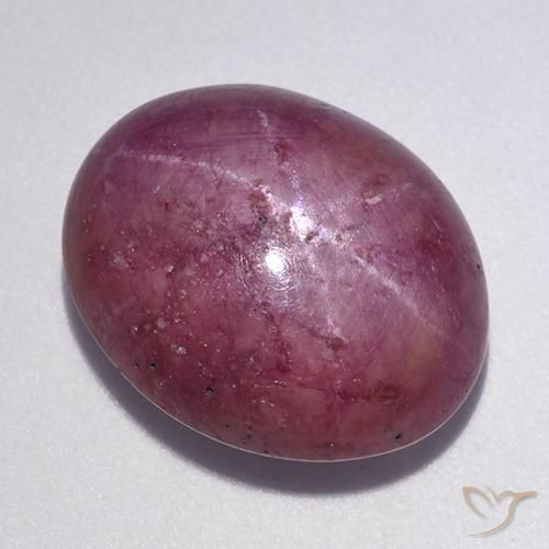 12.56ct Natural Roxo médio-escuro rubi estrela, oval, Opaco