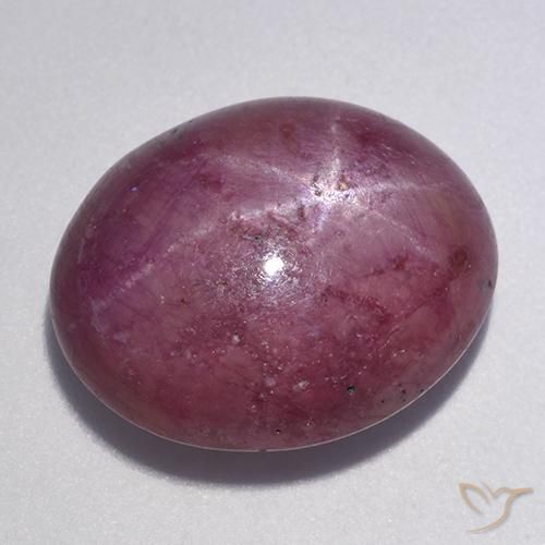 rubi estrela Roxo médio-escuro Natural 12.56ct, oval, Opaco