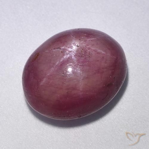 11.40ct Natural roxo médio rubi estrela, oval, Opaco