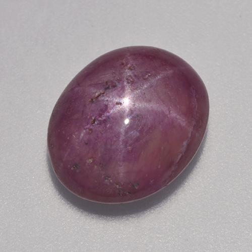 rubi estrela Vermelho roxo Natural 7.10ct, Corte Oval, Opaco