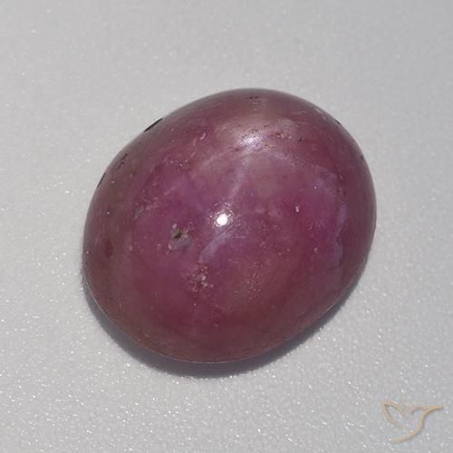 8.41ct Natural Roxo médio-escuro rubi estrela, oval, Opaco