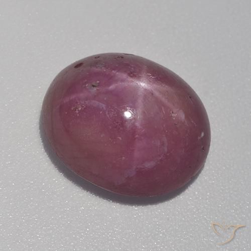 rubi estrela Roxo médio-escuro Natural 8.41ct, oval, Opaco