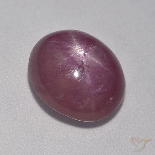 6.32ct Natural ameixa roxa rubi estrela, oval, Opaco