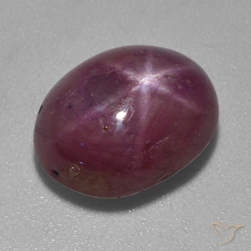 7.59ct Natural Roxo médio-escuro rubi estrela, oval, Opaco