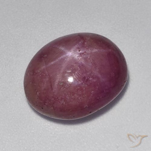8.90ct Natural Roxo médio-escuro rubi estrela, oval, Opaco