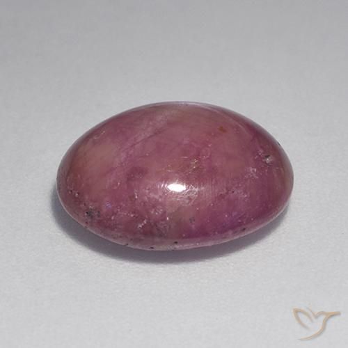 rubi estrela roxo avermelhado Natural 7.28ct, oval, Opaco