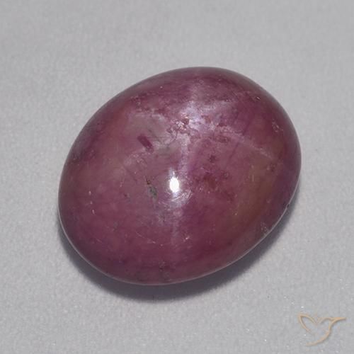 8.30ct Natural Roxo médio-escuro rubi estrela, oval, Opaco