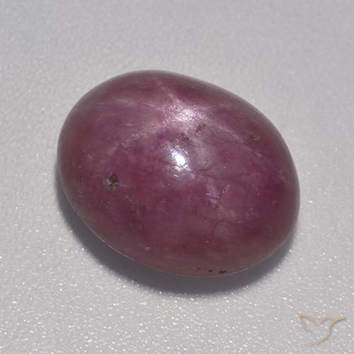 rubi estrela ameixa roxa Natural 9.03ct, oval, Opaco