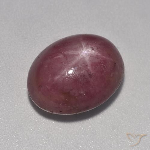 rubi estrela ameixa roxa Natural 8.17ct, oval, Opaco