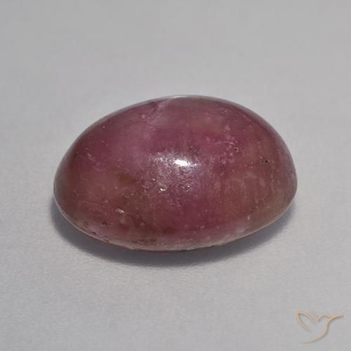 rubi estrela ameixa roxa Natural 8.17ct, oval, Opaco