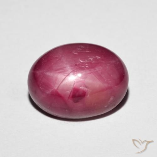6.14ct Natural Vermelho escuro rubi estrela, oval, Opaco