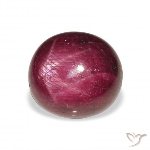 rubi estrela Roxo rosado Natural 11.86ct, oval, Opaco