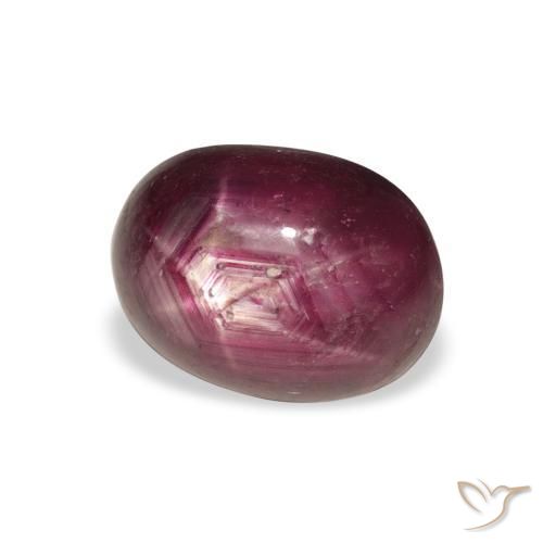 rubi estrela Roxo rosado Natural 6.23ct, oval, Opaco