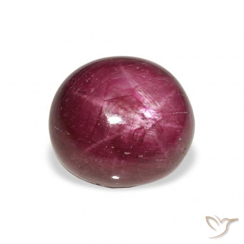 9.87ct Natural Medium Dark-Purple rubi estrela, oval, Opaco