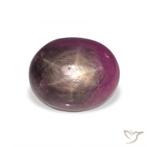 9.04ct Natural roxo avermelhado rubi estrela, oval, Opaco