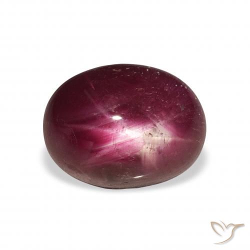 6.34ct Natural Vermelho escuro rubi estrela, oval, Opaco