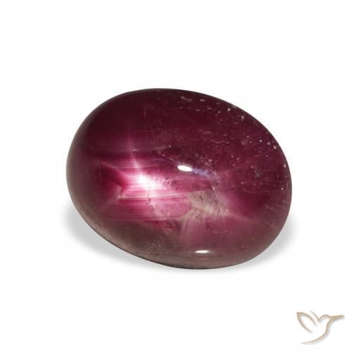 rubi estrela Vermelho escuro Natural 6.34ct, oval, Opaco