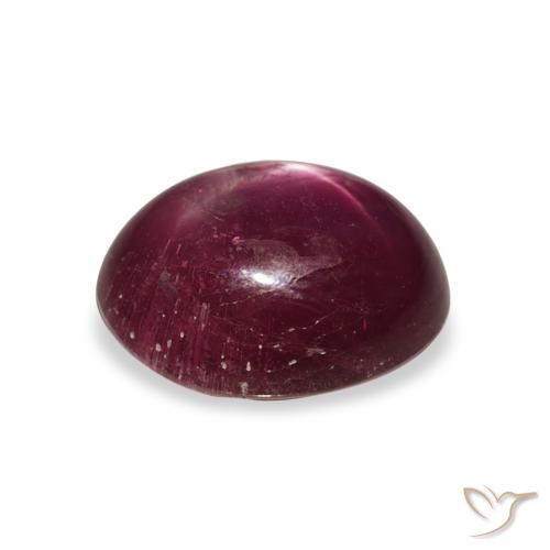 rubi estrela Vermelho escuro Natural 6.34ct, oval, Opaco