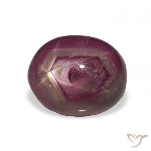 rubi estrela Vermelho escuro Natural 6.42ct, oval, Opaco