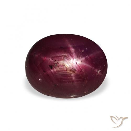 3.20ct Natural Vermelho escuro rubi estrela, oval, Opaco