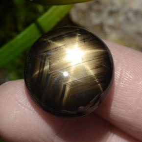 Safira estrela preto natural 30,49ct, corte oval, opaco