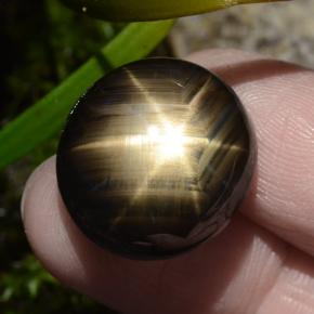 Safira estrela preto natural 30,49ct, corte oval, opaco