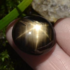 Safira estrela preto natural 30,49ct, corte oval, opaco