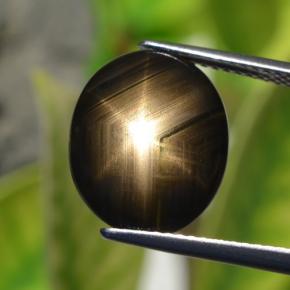 Safira estrela preto natural 6,32ct, corte oval, opaco