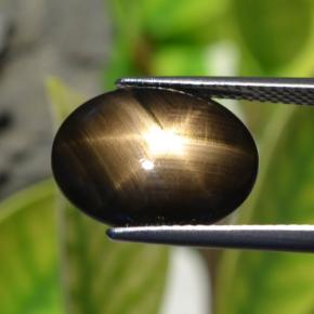 Safira estrela preto natural 6,32ct, corte oval, opaco